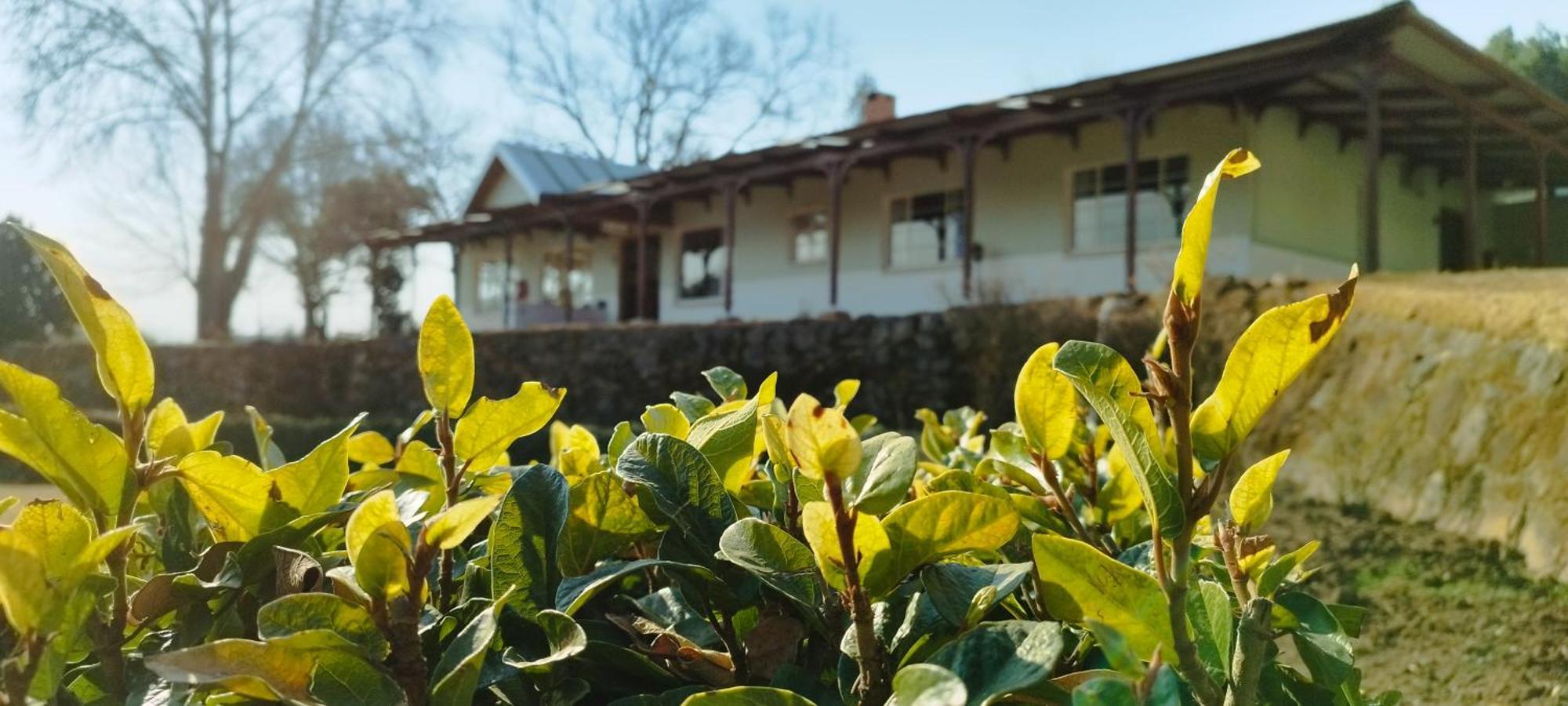 Tumble In Bed & Breakfast อันเดอร์เบิร์ก ภายนอก รูปภาพ